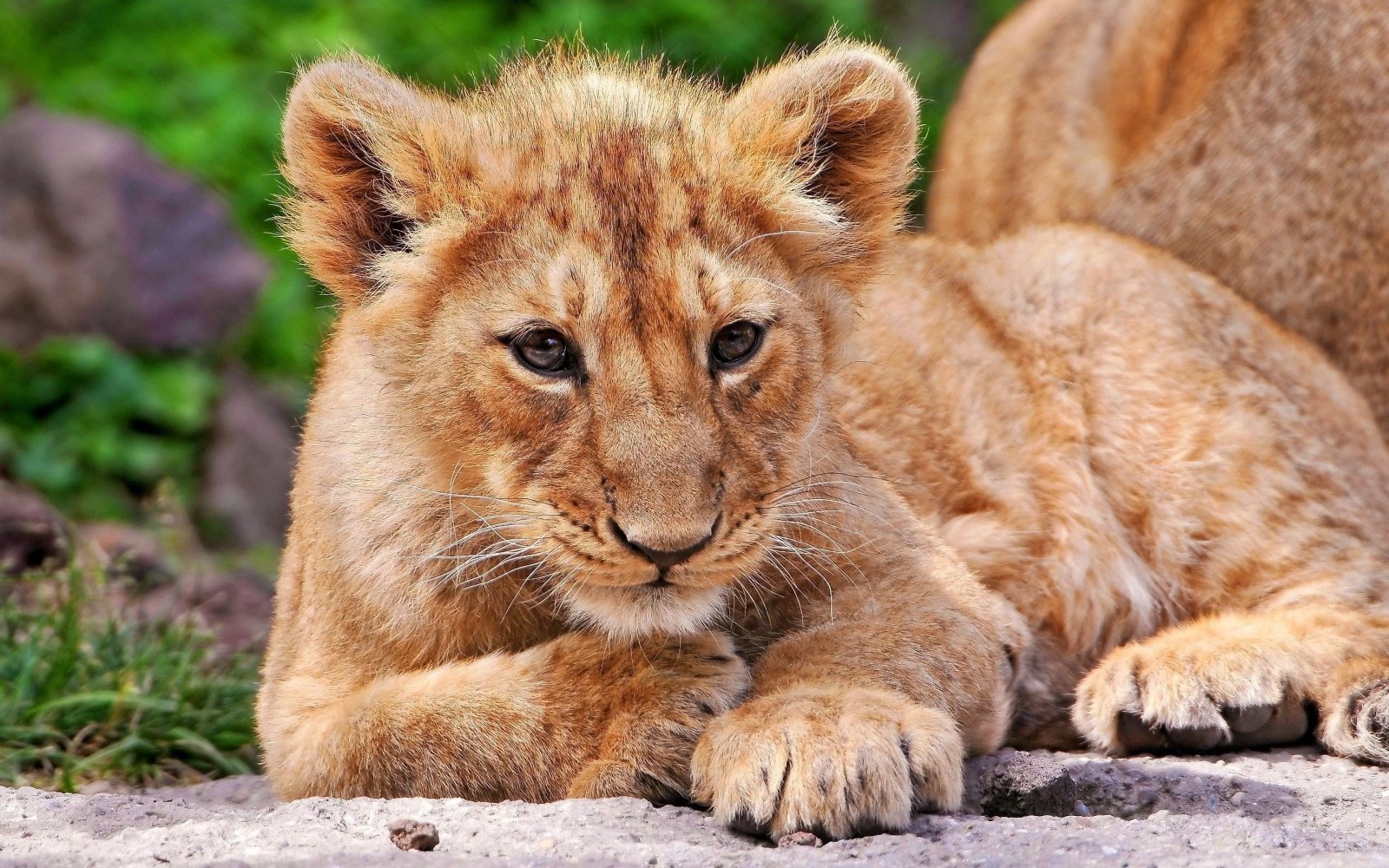 Tanzania
