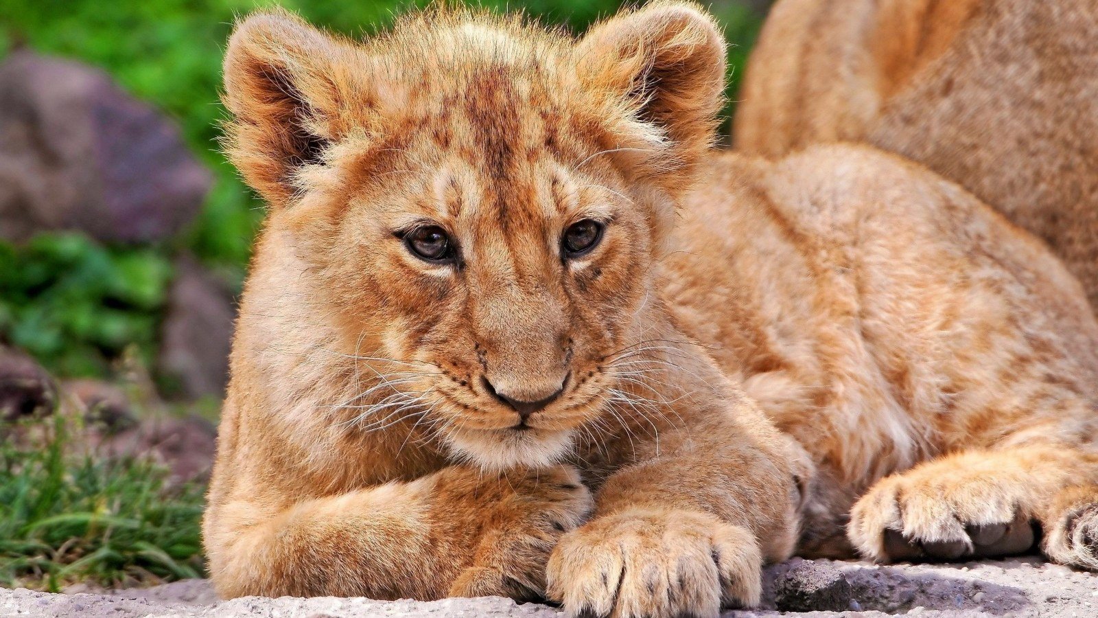 Viaggi in Tanzania